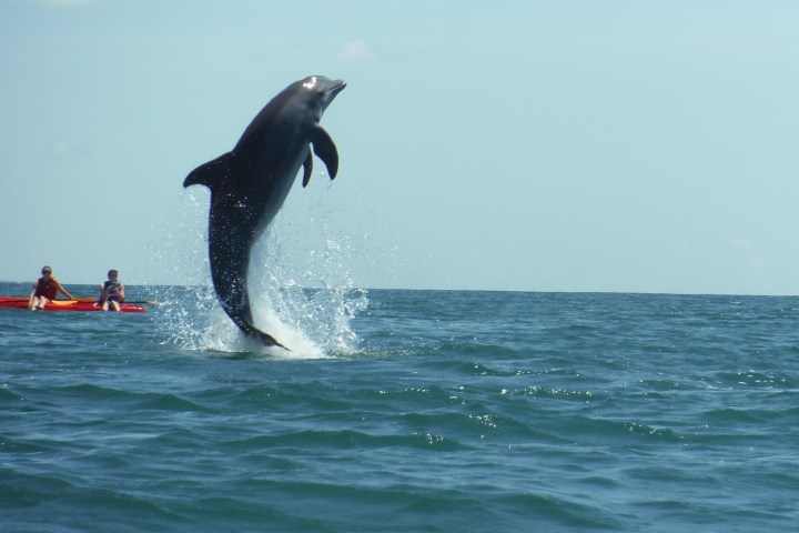 a person flying through the air while riding a wave in the ocean