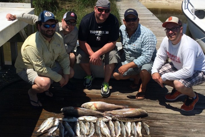 a group of people sitting on a cutting board with a cake