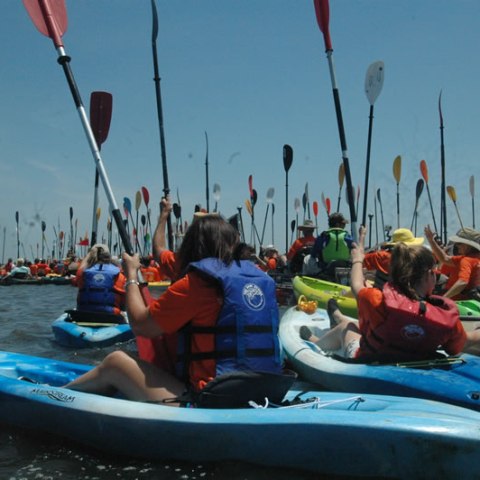 a group of people riding on the back of a boat