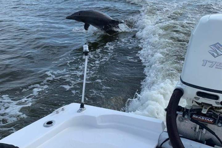 a boat sitting on top of a body of water