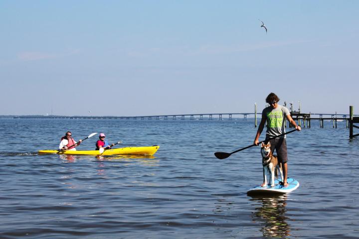 a group of people rowing a boat in a body of water