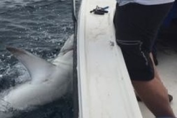 a person that is standing in the water