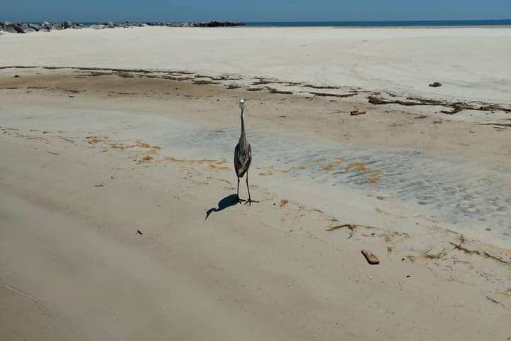 a person standing on top of a sandy beach