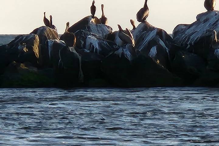 a group of people that are standing in the water