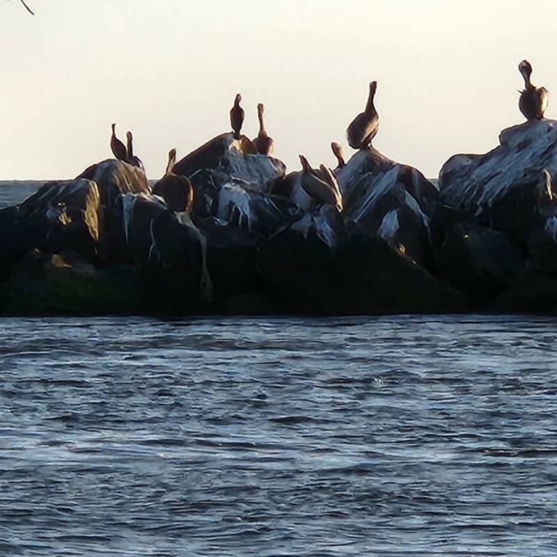a group of people that are standing in the water