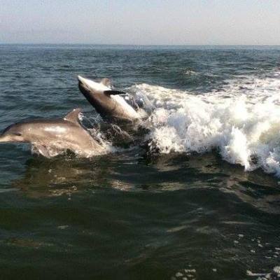 a man riding a wave on top of a body of water