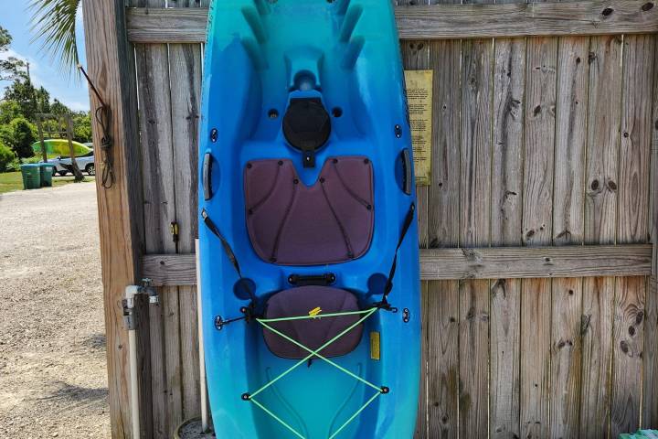 a blue bird sitting on top of a wooden fence