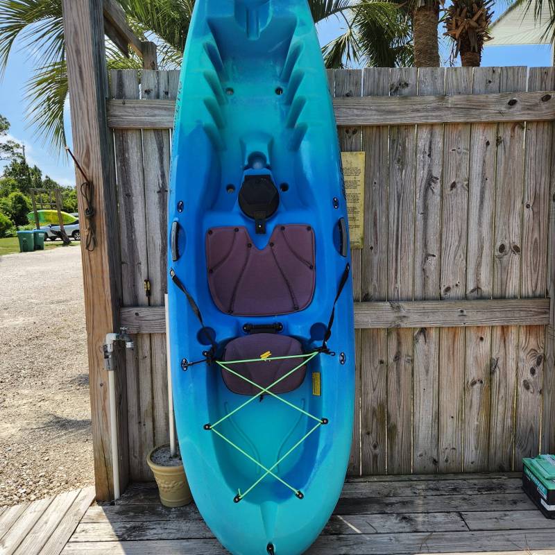 a blue bird sitting on top of a wooden fence